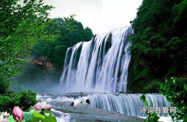 @广大农民朋友：购种“五要”“五不要”“三注意”